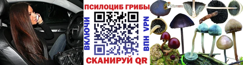 Купить закладки  Ковдор  Псилоцибиновые грибы ЛСД 